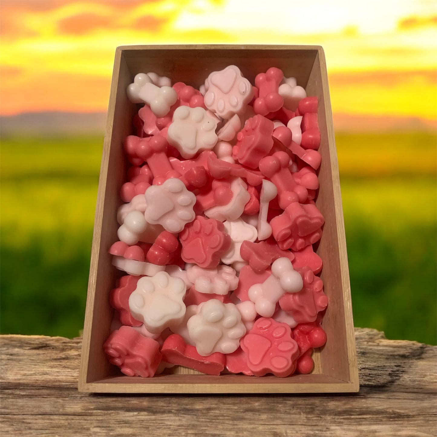 Redskins Paws & Bones